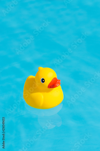 A single yellow rubber duck floats in a paddling pool