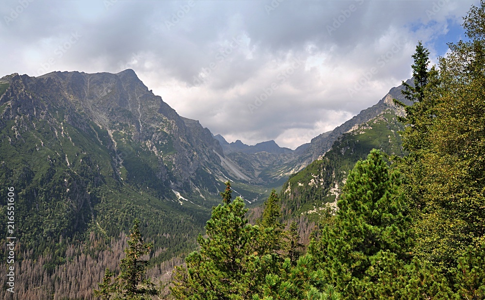 mountain in summer, High Tatras,Slovakia, Europe