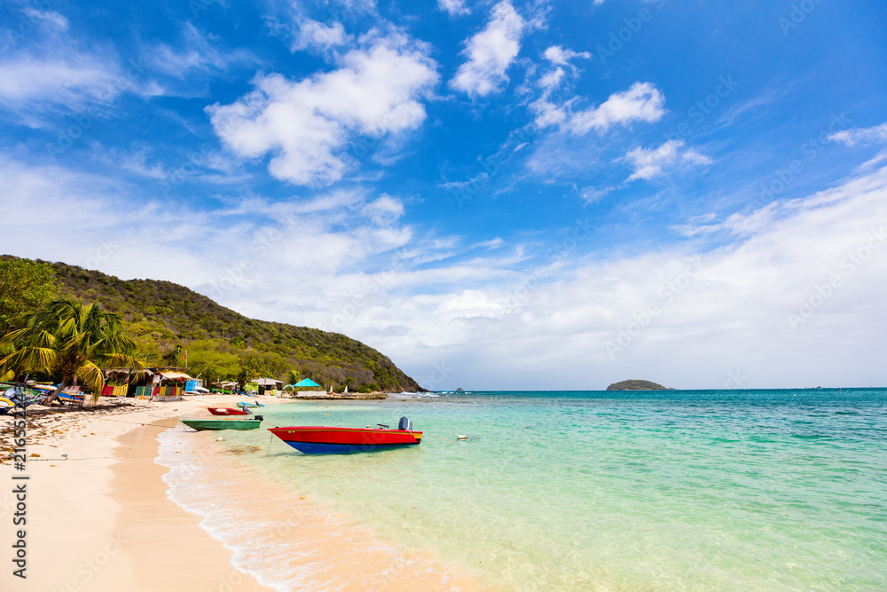Fototapeta premium Idyllic beach at Caribbean