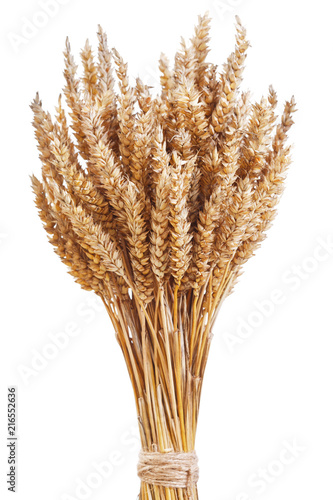 wheat ears on white background