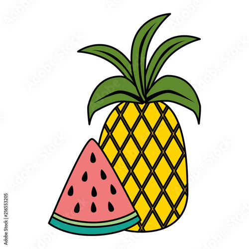 watermelon sliced with pineapple