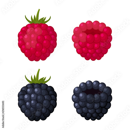 Colorful raspberry and blackberry icons