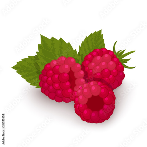 Red raspberries with green leaves