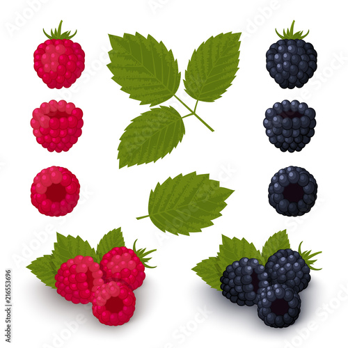 Ripe red raspberries and blackberries 