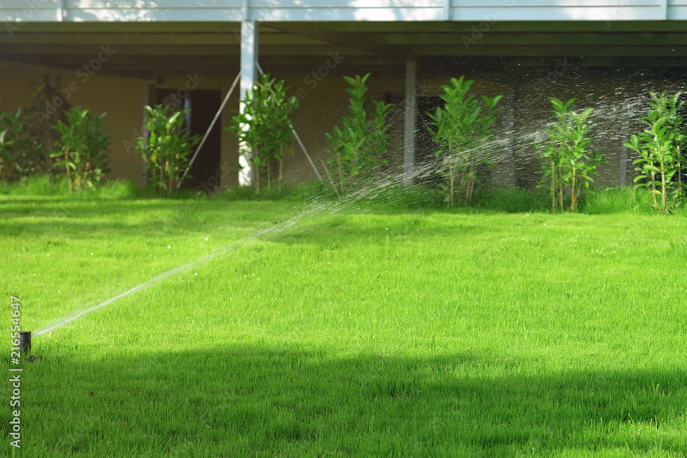automatic sprinkler system watering the lawn
