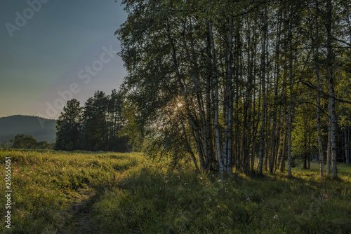 Forest in evening near Soumarsky Most village