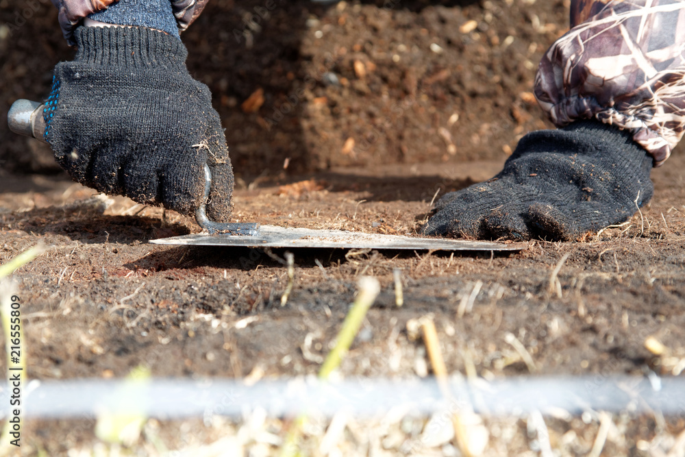 The hands of the archaeologist with a trowel in the pit