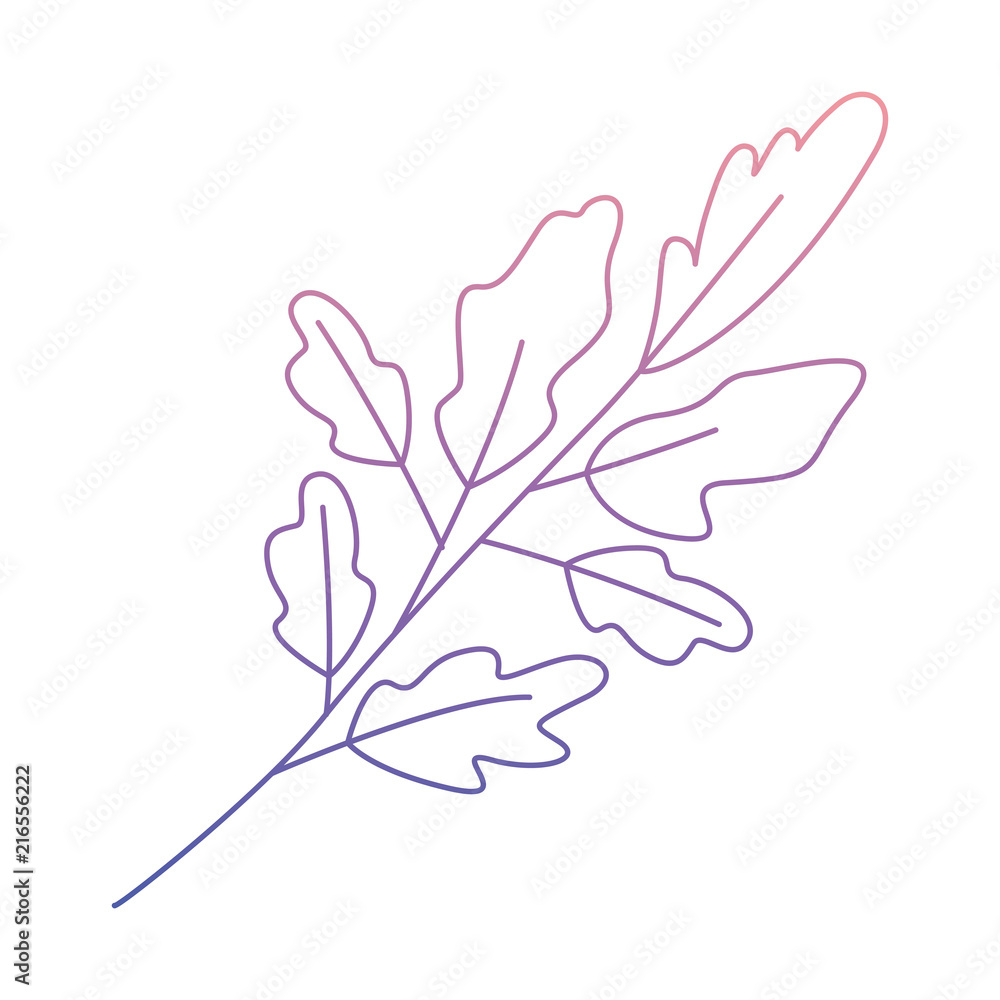 leaf plant ecology icon vector illustration design leaf plant ecology icon vector illustration design
