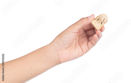 hand holding slice mushroom isolated on white background photo