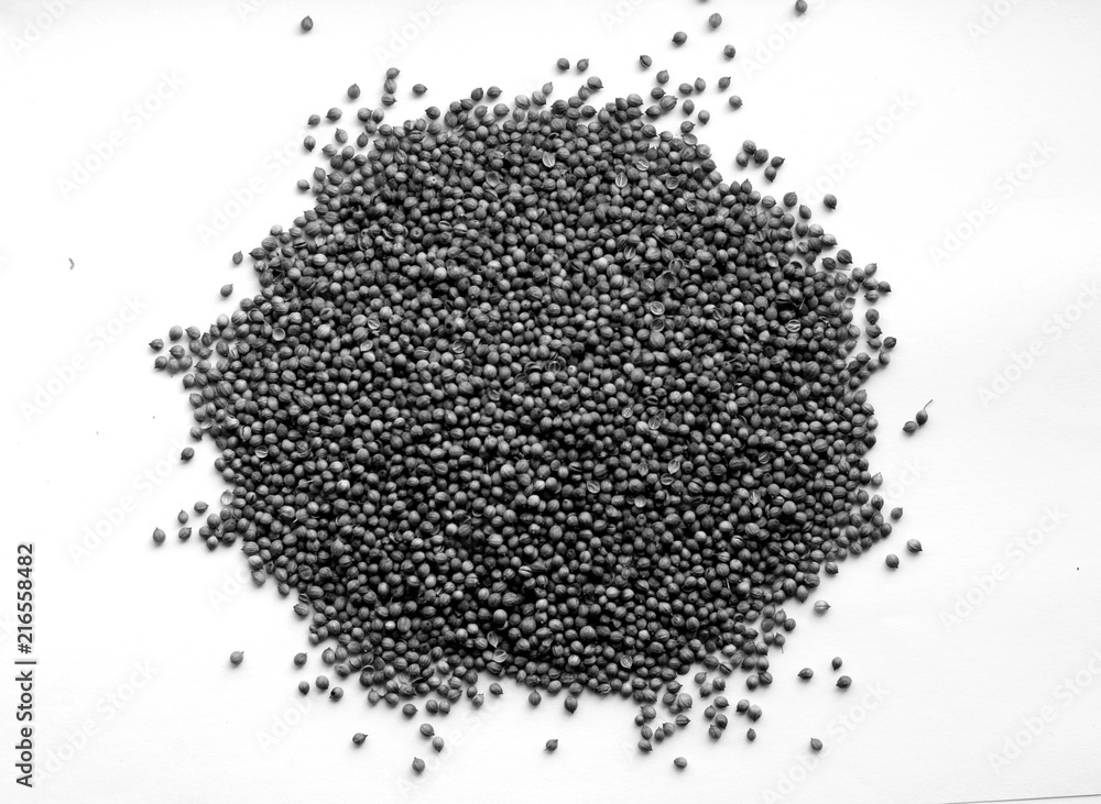 Mustard seeds on white in black and white.