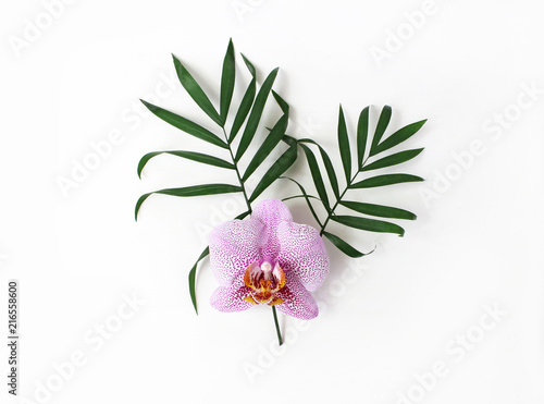 Fototapeta Naklejka Na Ścianę i Meble -  Styled stock photo. Jungle floral composition of green palm leaves and pink Phalenopsis orchid flower isolated on white background. Tropical summer holiday, vacation concept. Flat lay, top view.