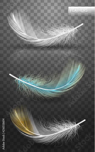 Isolated falling fluffy twirled feathers on transparent background in realistic style. Vector Illustration
