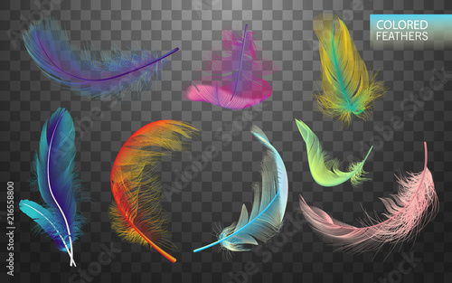 Set of isolated falling colored fluffy twirled feathers on transparent background in realistic style. Light cute feathers design. Elements for design. Vector Illustration