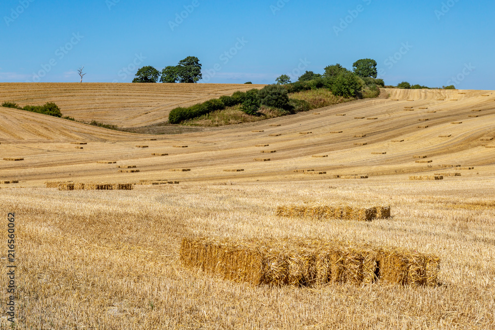 Hay stacks in Sussex fields during harvesting
