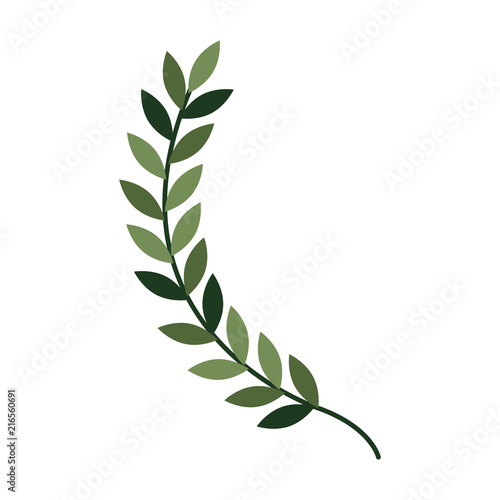 leafs spike decorative icon vector illustration design