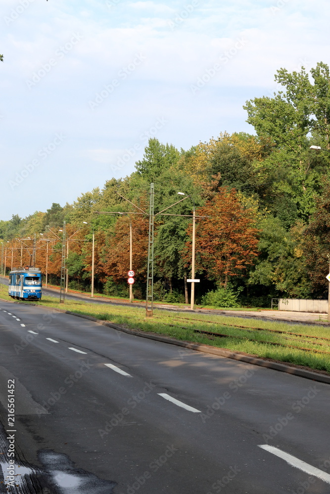 Fototapeta premium Blue tram 21