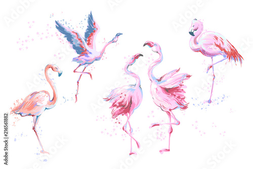Set of 5 vector watercolor imitation style sketchy flamingos isolated on white. Vector illustration of pink flamingo