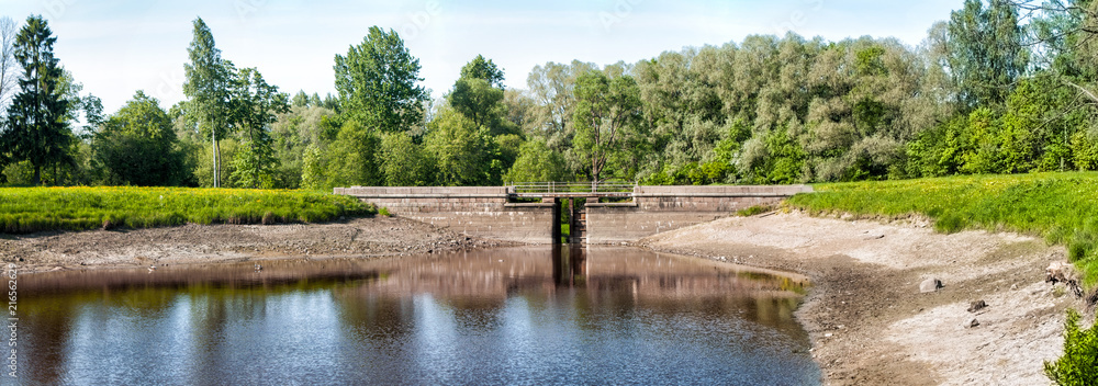 Obraz premium Pedestrian bridge on the pond in the park in early spring in clear weather