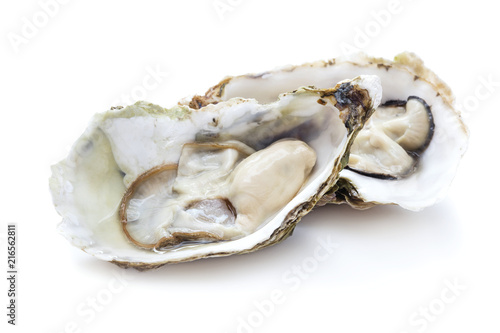 fresh open oysters isolated on white background