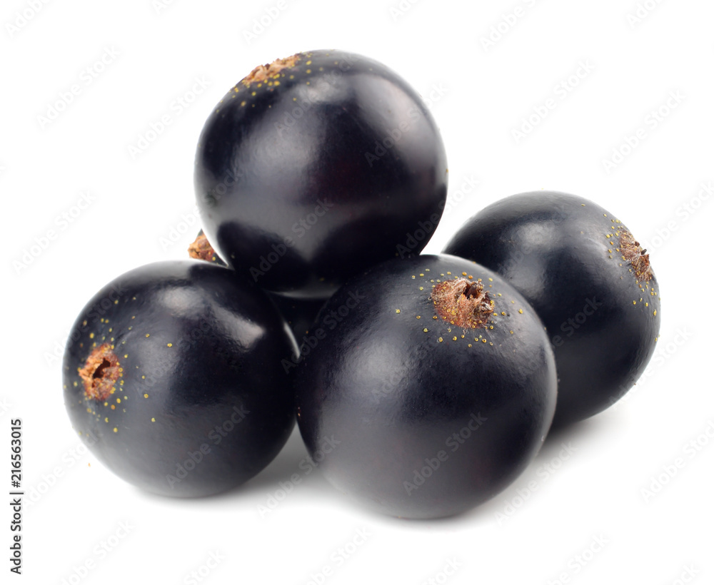 black currant isolated on white background. macro black currant isolated on white background. macro