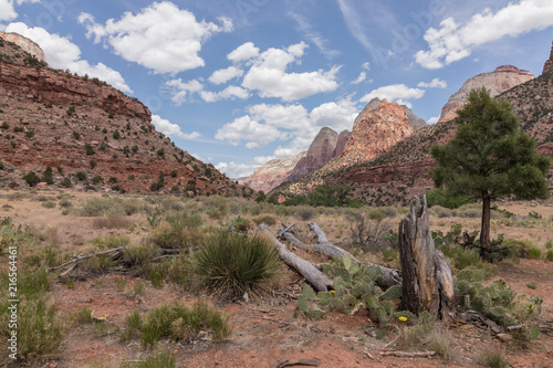 Zion National Park