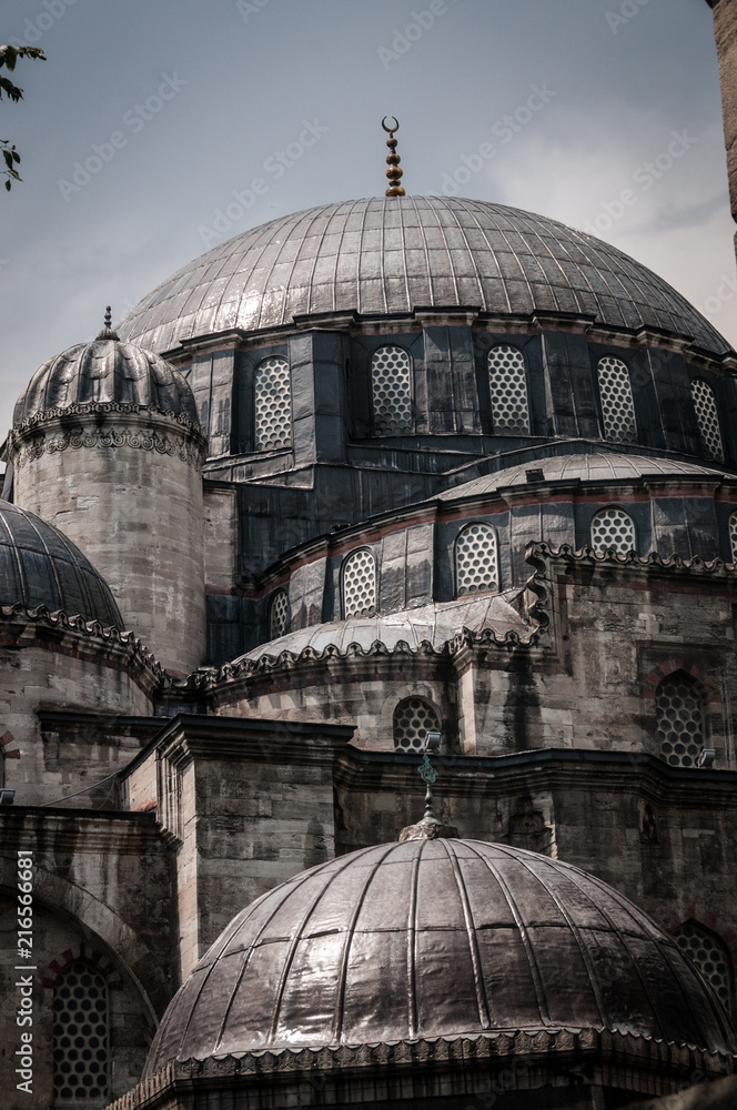 Fototapeta premium The domes of the Sherazade Mosque, Istanbul, Turkey