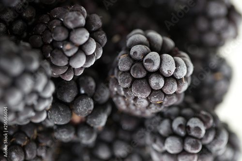  close up bramble covered with hoarfrost. Blackberry berries covered with hoarfrost.