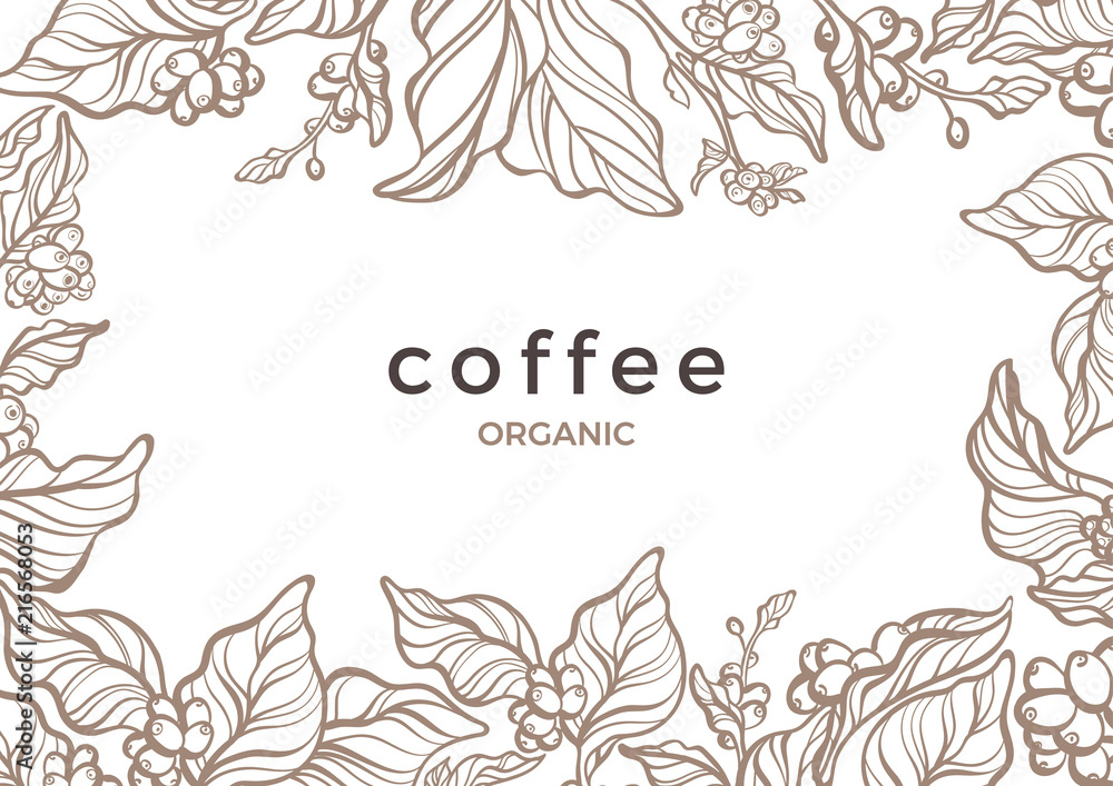 Vector floral template Coffee tree, bean Sketch frame