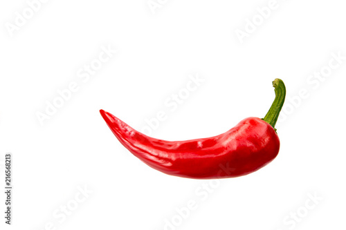 chili pepper isolated