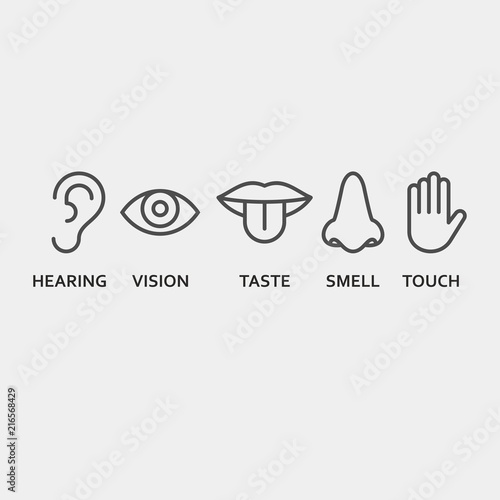 Sense organs flat vector icons