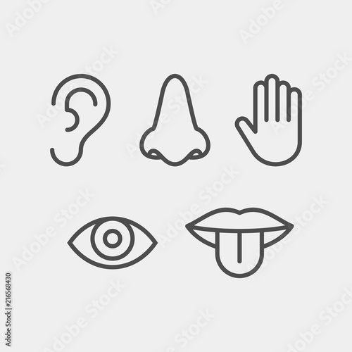 Sense organs flat vector icons