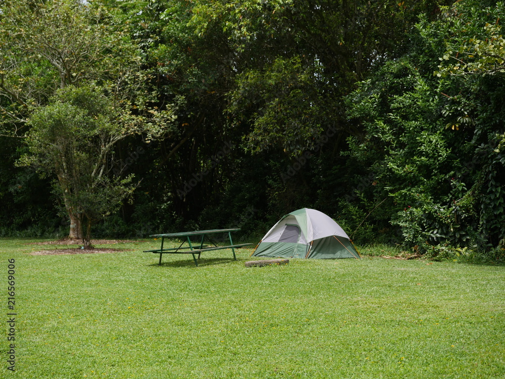 camping ground with tent and picnic table on green grass  