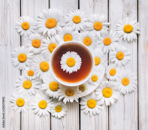 Cup of chamomile tea with fresh daisies. White fresh flowers on a light gray vintage wooden background. Concept, top view, close up.