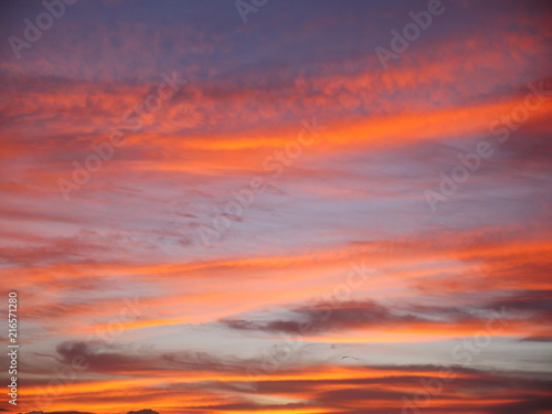 colorful tropical sunset sky background  © Anastasia