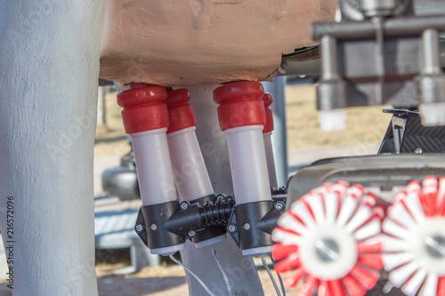 Fotografie cows milking machine