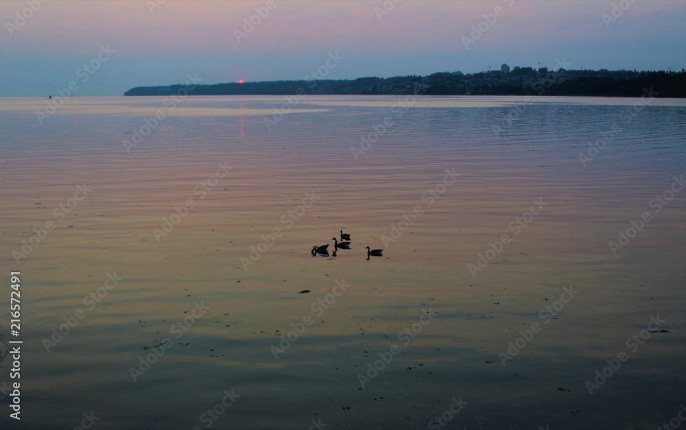 Fototapeta premium Sun going down on the White Rock peninsula in summertime