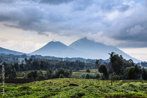 Virunga volcano national park landscape with green farmland fields in the foreground, Rwanda photo
