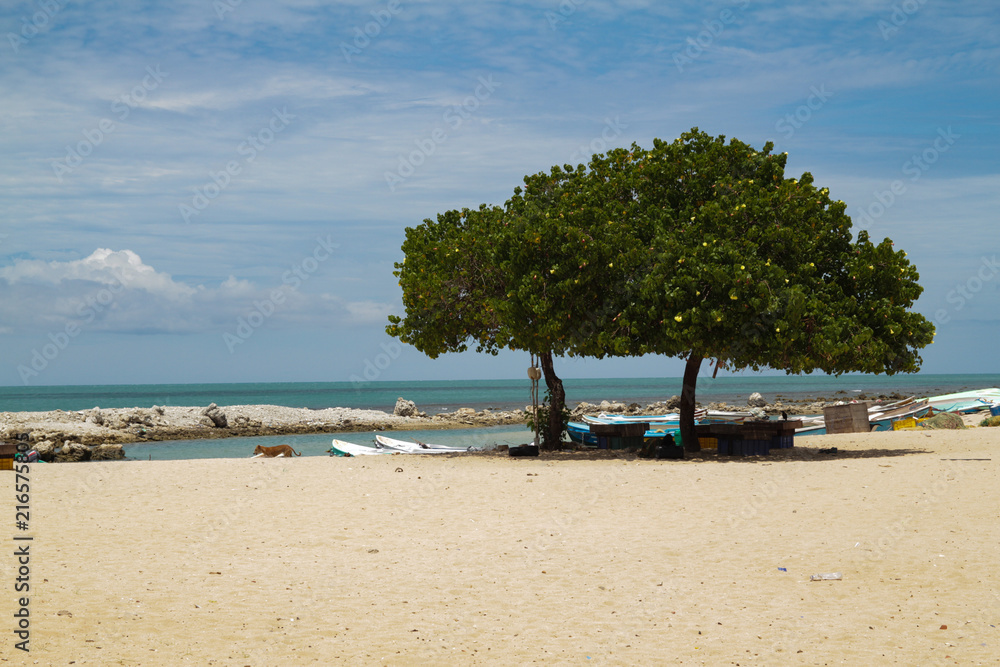 beach with fishing boats in Jaffna, Sri Lanka
