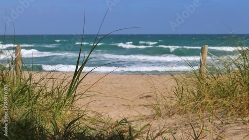 Ocean Through Grass