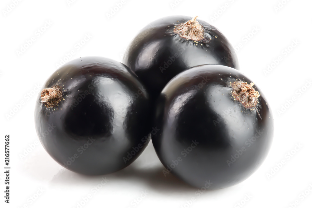 three black currant isolated on white background three black currant isolated on white background