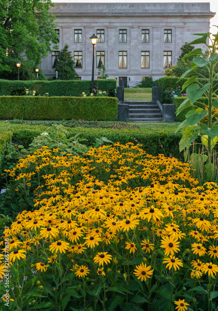 Flowers & Government Building