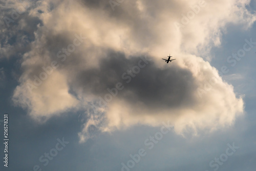The plane flies in the clouds © dima