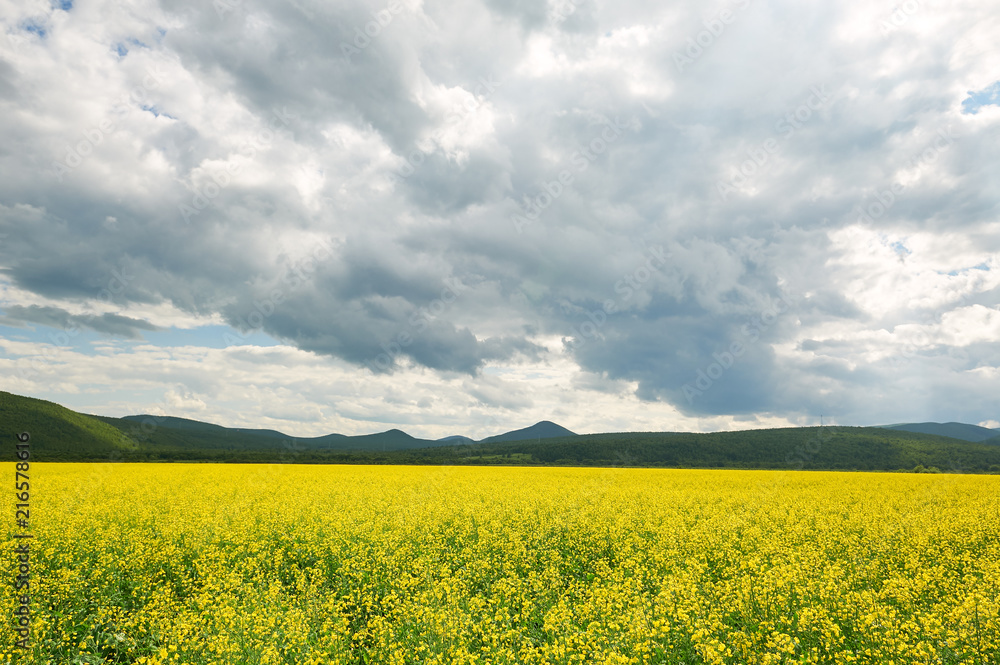Hulunbuir grasslands of inner Mongolia. Hulunbuir grasslands of inner Mongolia.