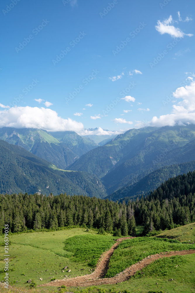 Kackar mountains with green forest landscape in Rize,Turkey.