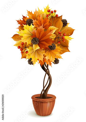 Vector illustration - autumn decorative tree in the pot, isolated on white. EPS 10