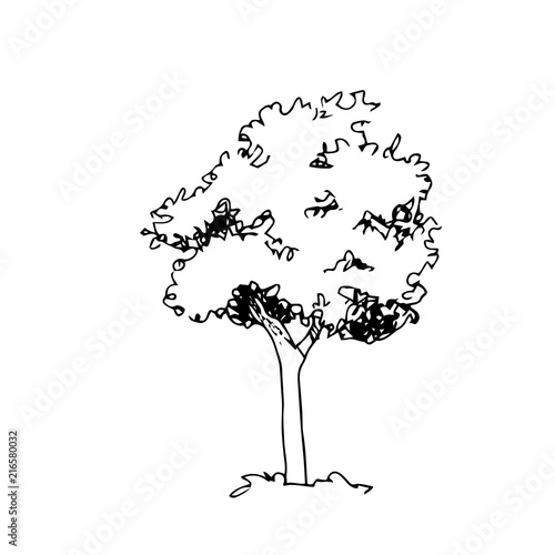 Hand drawn architect tree, vector sketch, architectural illustration