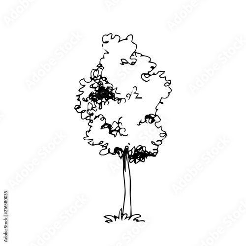 Hand drawn architect tree, vector sketch, architectural illustration