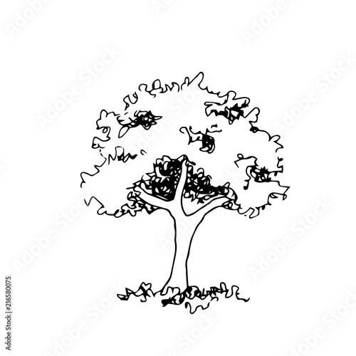 Hand drawn architect tree, vector sketch, architectural illustration