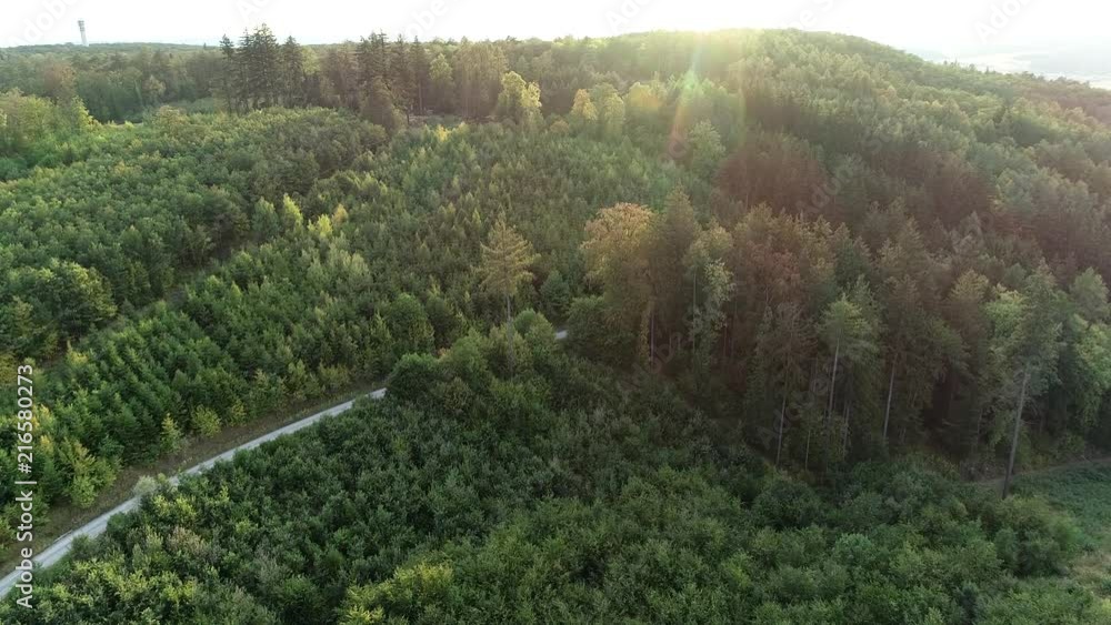 Aerial view of the sunset at a forest Aerial view of the sunset at a forest