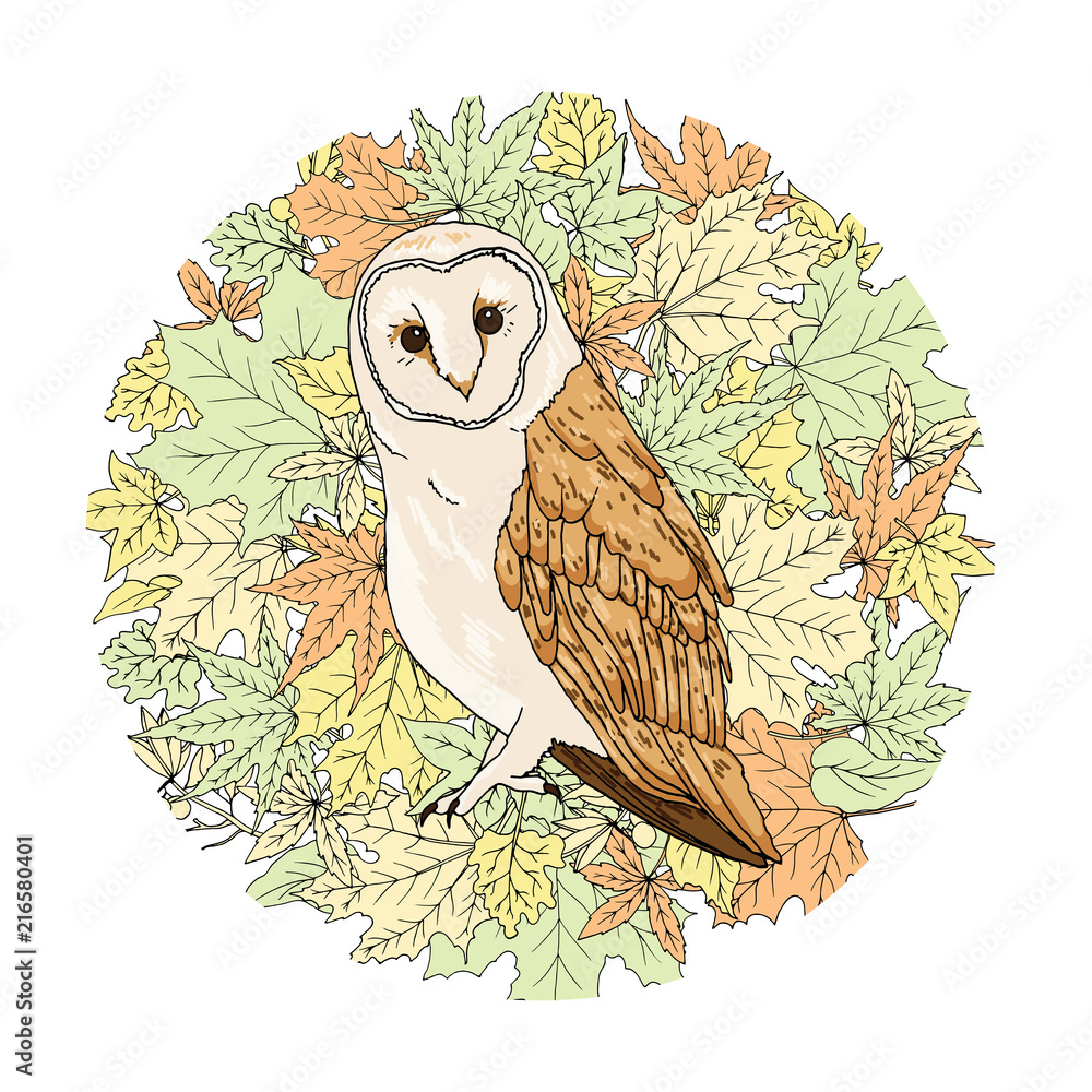 Fototapeta premium Beautiful barn owl on autumn floral background veclor